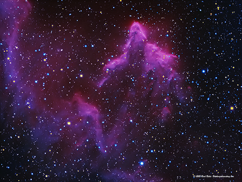 IC 59 and IC 63
